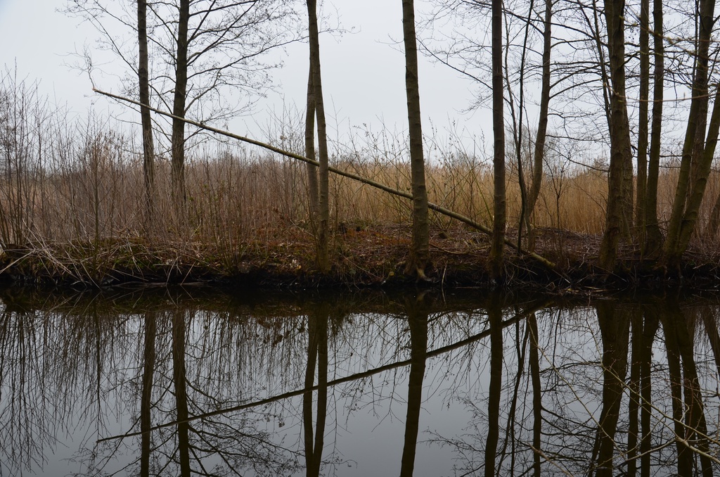 2018-04-14 Copenhagen/Utterslev Mose/DSC_0076.JPG